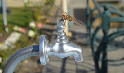 Kalocsa Kistérségi Rendszer