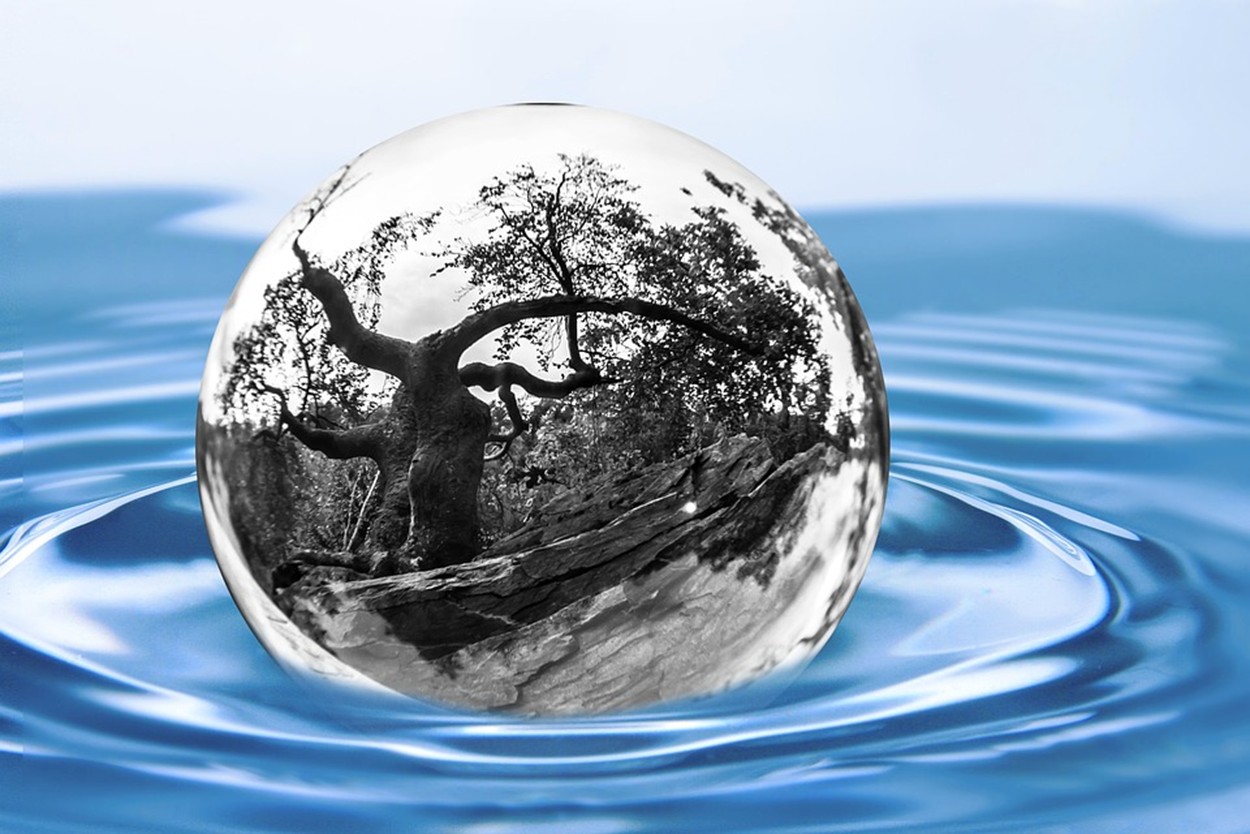 Törött fémgolyó vízben, fák tükröződnek a felületén