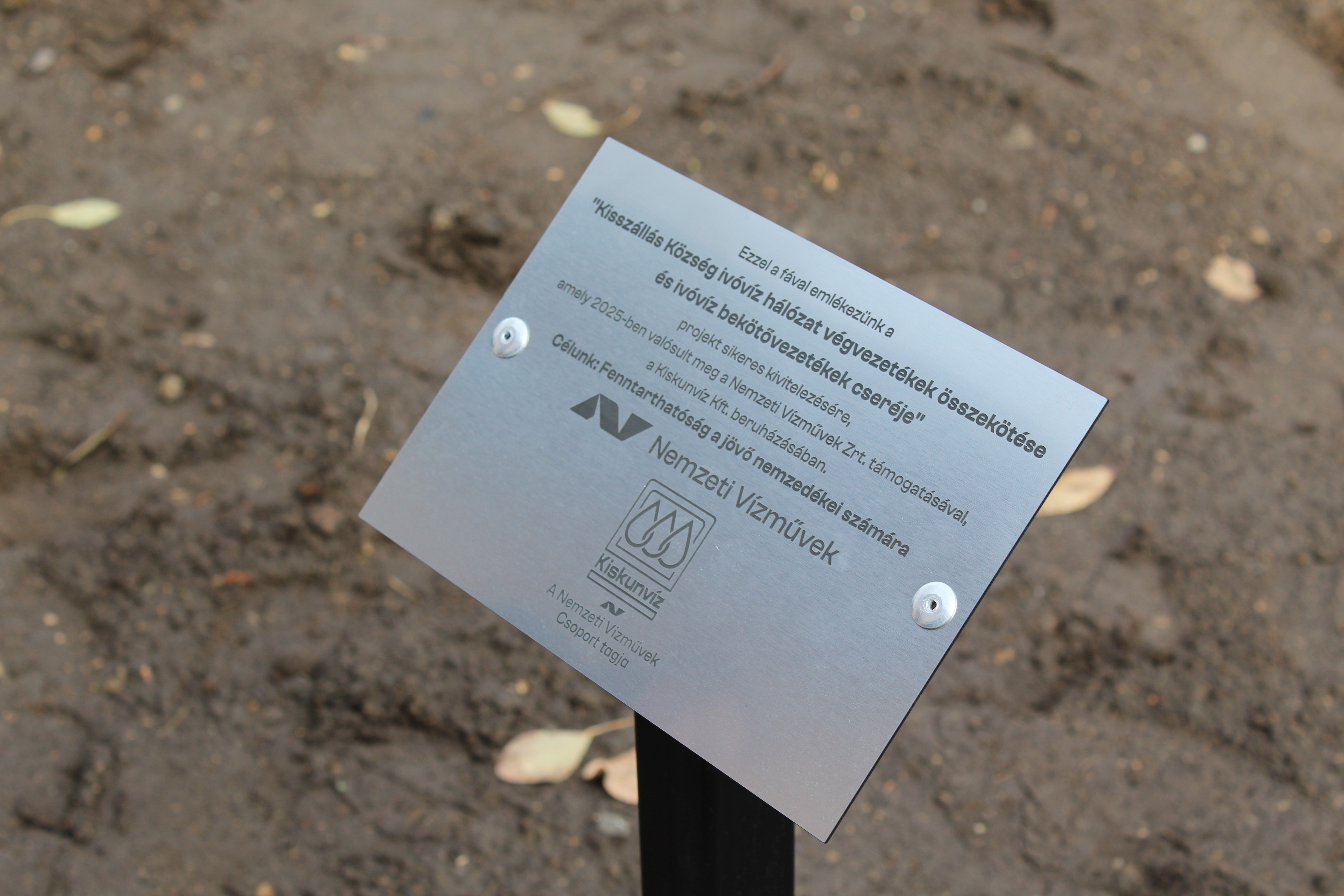 Kiemelt galéria kép